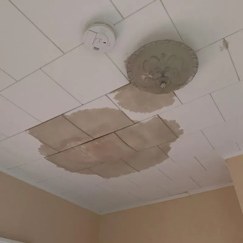 Ceiling Water Damage Repair in Howland, ME