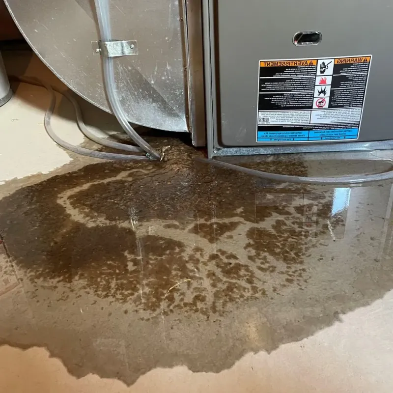Pipe Burst and Leak Restoration in Howland, ME