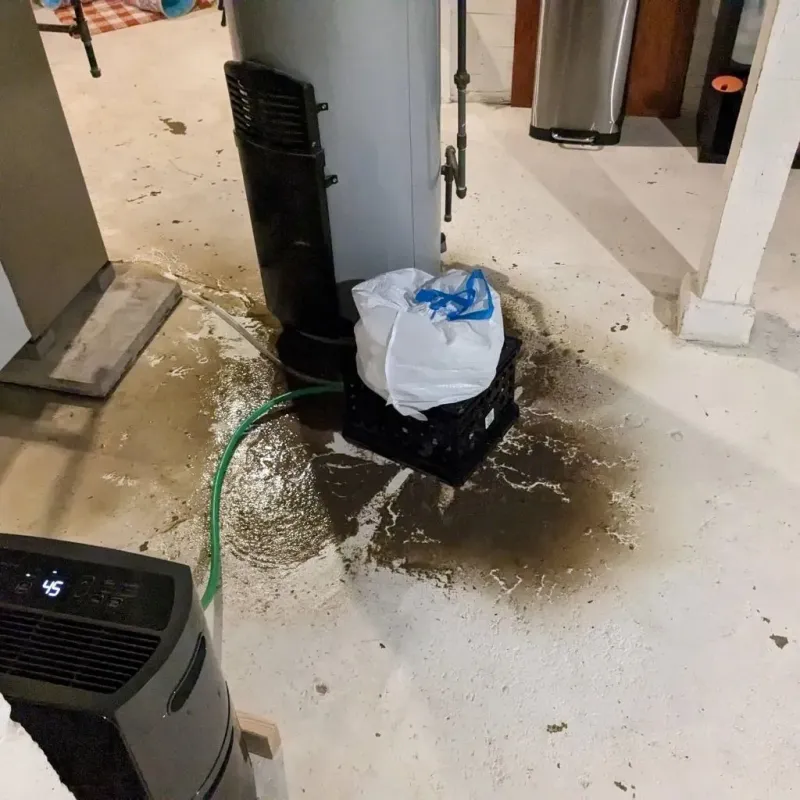 Sewage Backup Cleanup Service in Howland, ME